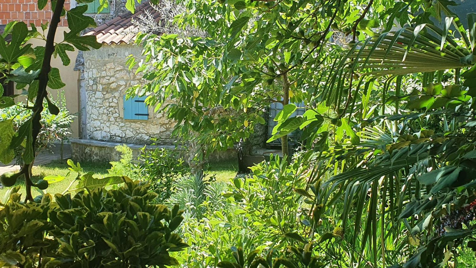 Villa Kazun With Private Pool And Two Gardens Marčana 外观 照片